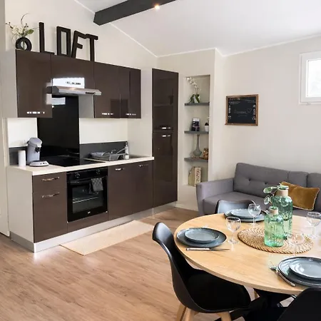 Loft, And דירה Bourg-Saint-Christophe