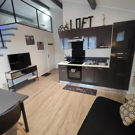Loft, Studio And Love Rooms Apartment *