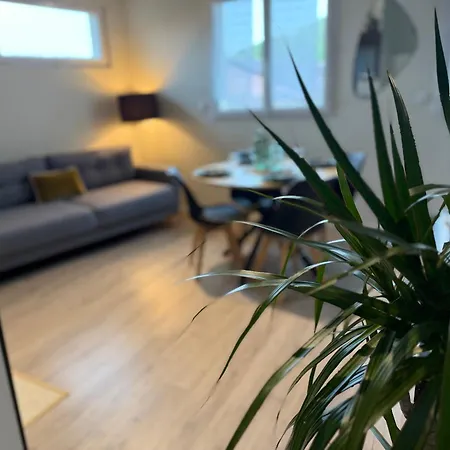 Loft, Studio And Love Rooms Apartment